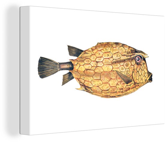 Canvas Schilderij Vis - Realisme - Goud - 60x40 cm - Wanddecoratie