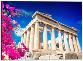 Dibond - Parthenon in Athene met Bloesembloemen - 40x30cm Foto op Aluminium (Met Ophangsysteem)