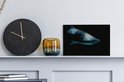 Product afbeelding  10