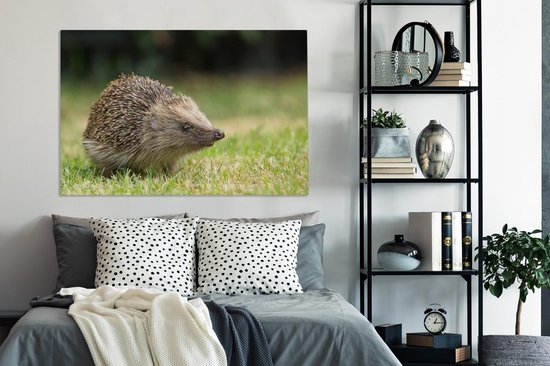 Hérisson dans le jardin toile 2cm 140x90 cm - impression photo sur toile peinture Décoration murale salon / chambre à coucher) / Animaux sauvages Peintures Toile
