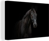 Toile Warmblood Noire 2cm 60x40 cm - Impression Photo sur Toile Peinture (Décoration murale Salon / Chambre) / Peintures sur Toile Animaux de la ferme