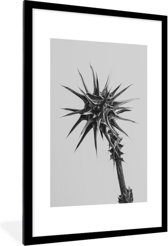 Fotolijst incl. Poster - Plant met doornen in zwart-wit - 60x90 cm - Posterlijst
