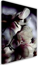 Schilderij Magnolia knoppen, 2 maten, multi-gekleurd, Premium print