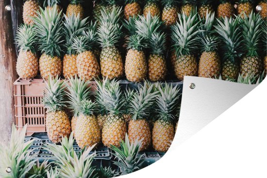 Tuinposter 120x80 cm - Tuindecoratie Ananas - Fruit - Mexico - Poster voor in de tuin - Buiten decoratie - Schutting tuinschilderij - Tuindoek muurdecoratie - Wanddecoratie balkondoek