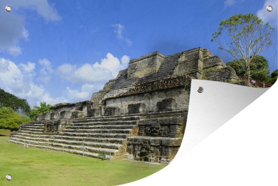 Affiche de jardin du temple d'Altun Ha Maya en vrac