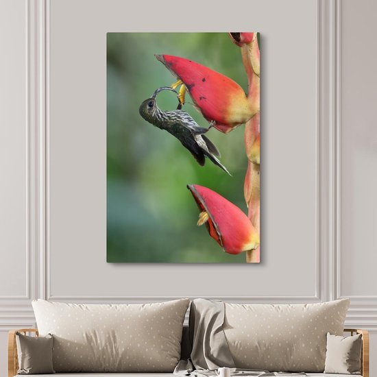 Le colibri à bec crochu à la fleur d'heliconia pogonantha au Costa Rica Toile 120x180 cm - Tirage photo sur Toile (Décoration murale salon / chambre) XXL / Groot format!
