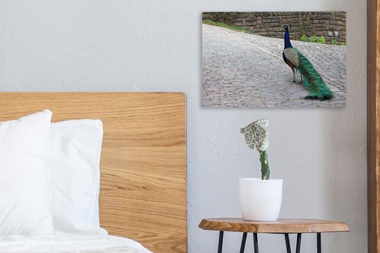Paon marche dans une rue Toile 30x20 cm - petit - Tirage photo sur toile (Décoration murale salon / chambre)