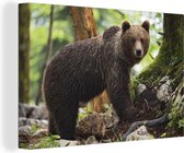 Canvas Schilderij Grizzlybeer - Boom - Regen - 30x20 cm - Wanddecoratie