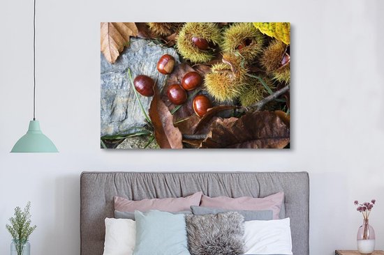 Canvas schilderij 150x100 cm - Wanddecoratie Zoete tamme kastanjes liggend op de herfstgrond - Muurdecoratie woonkamer - Slaapkamer decoratie - Kamer accessoires - Schilderijen