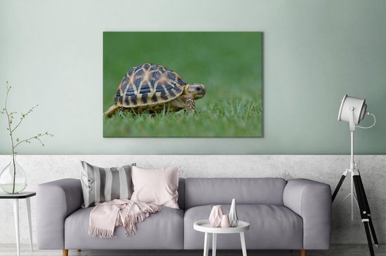 Canvas schilderij 180x120 cm - Wanddecoratie Schildpad op gras - Muurdecoratie woonkamer - Slaapkamer decoratie - Kamer accessoires - Schilderijen