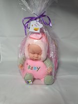 kraamcadeau baby meisje paarse rugtas met pampers/babyshower/geboorte
