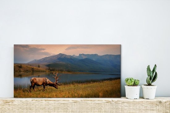 Canvas Schilderij Eland in het Nationaal park Jasper in Noord-Amerika - 40x20 cm - Wanddecoratie
