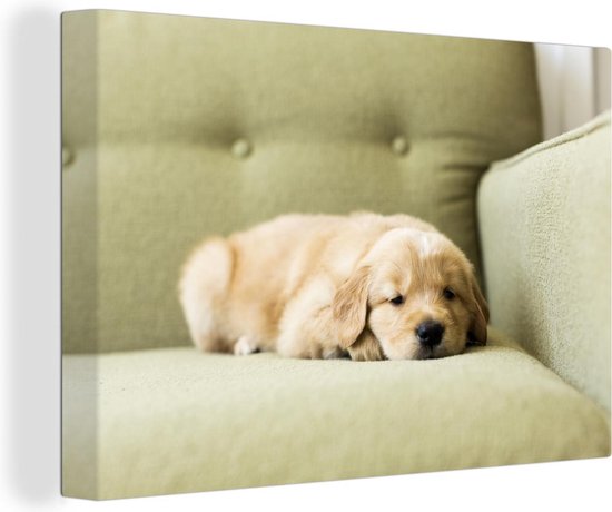 Een slapende Golden Retriever puppy op de bank Canvas 90x60 cm - Foto print op Canvas schilderij (Wanddecoratie woonkamer / slaapkamer) / Huisdieren Canvas Schilderijen