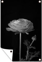 Muurdecoratie Zwart-witte close-up van een boterbloem - 120x180 cm - Tuinposter - Tuindoek - Buitenposter