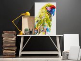 Doe-het-zelf op canvas schilderen - Tropical Parrot-40x60