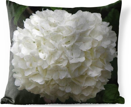 Buitenkussens - Tuin - Witte hortensia - 45x45 cm