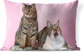 Buitenkussens - Tuin - Twee katten voor roze achtergrond - 50x30 cm