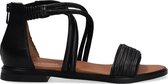 Omoda M05062 Sandalen - Dames - Zwart - Maat 39