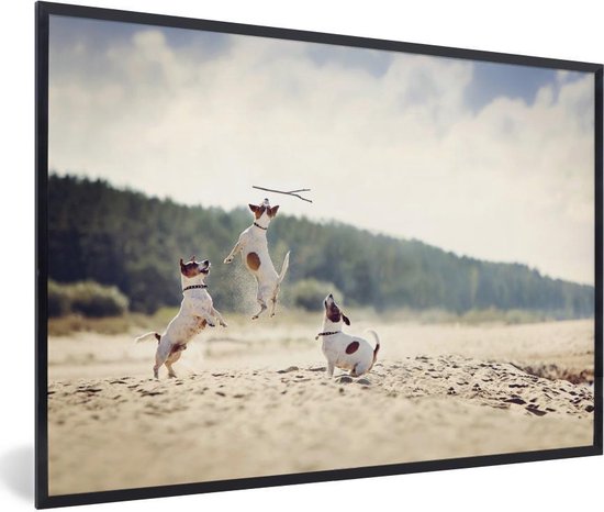 Trois cadres photo de Jack Russell noir sans support