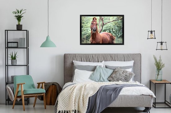 Photo encadrée - Un cheval Kathiawari dans le cadre photo nature boisé noir 90x60 cm - Affiche encadrée (Décoration murale salon / chambre)