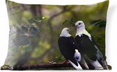 Buitenkussens - Tuin - Twee vogels op een tak - 50x30 cm