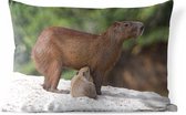 Sierkussen Capibara voor buiten - Twee capibara's voeden zich van hun moeder op een zandbank aan de rivier - 60x40 cm - rechthoekig weerbestendig tuinkussen / tuinmeubelkussen van polyester