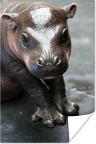 Baby nijlpaard 20x30 cm - klein - Foto print op Poster (wanddecoratie woonkamer / slaapkamer)