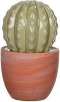 Cactus van steen - h18,5xd11,5cm