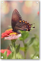 Kleine zwarte satyrium vlinder op een roze bloem - Tuinposter 60x90 - Wanddecoratie - Dieren - Natuur - Bloemen
