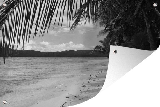 Strand en palmbomen bij de San Blas-eilanden bij Panama - zwart wit