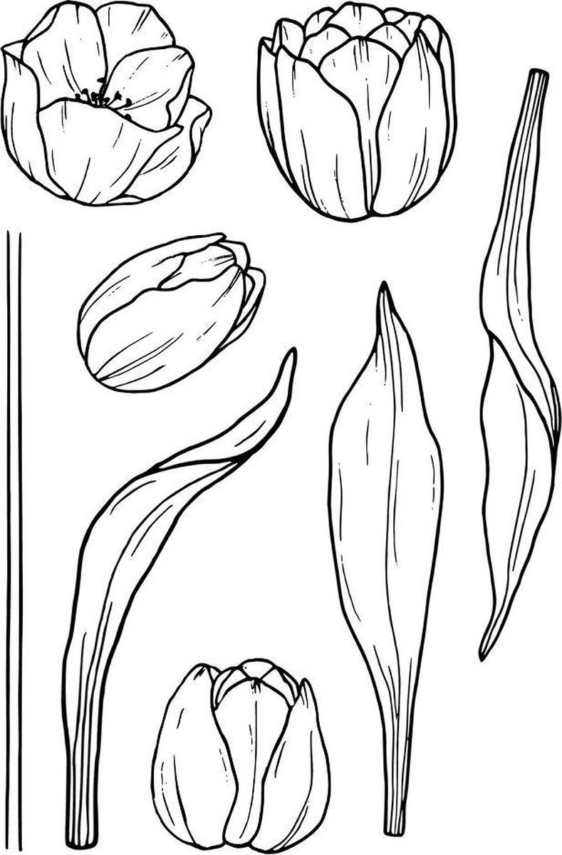 Tulips Clear Stamps (JD070) (DISCONTINUED)