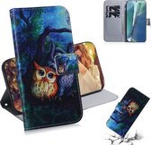 Voor Samsung Galaxy Note 20 Gekleurde Tekening Horizontale Flip Leren Case, met Houder & Kaartsleuven & Portemonnee (Olieverf Uil)