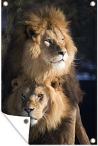 Muurdecoratie Leeuwen - Jagen - Wilde dieren - 120x180 cm - Tuinposter - Tuindoek - Buitenposter