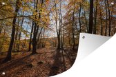 Tuinposter - Tuindoek - Tuinposters buiten - Herfstkleuren in de bossen van het Zweedse Nationaal park Söderåsen - 120x80 cm - Tuin