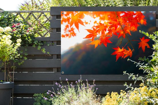 Affiche de jardin Feuilles d'automne au Japon - 120x80 cm - Jardin