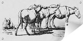 Tuinposter Een illustratie van enkele ezels - 80x40 cm - Wanddecoratie Buiten - Tuinposter - Tuindoek - Schuttingposter - Tuinschilderij