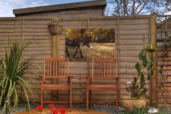 Âne marchant à travers les feuilles d'automne affiche de jardin toile en vrac 60x40 cm - petit - toile de jardin / toile d'extérieur / Peintures pour l'extérieur (décoration de jardin)