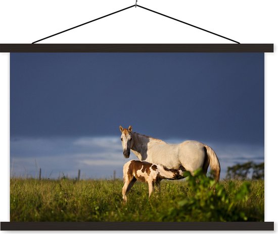 Cheval avec poulain dans l'herbe poster textielposter lattes noir 60x40 cm