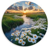 WallCircle® Wandcirkel 60x60 cm - Muurcirkel Beekje - Landschap - Margriet - Muurdecoratie woonkamer - Wanddecoratie slaapkamer - Kamer decoratie accessoires - Ronde schilderijen