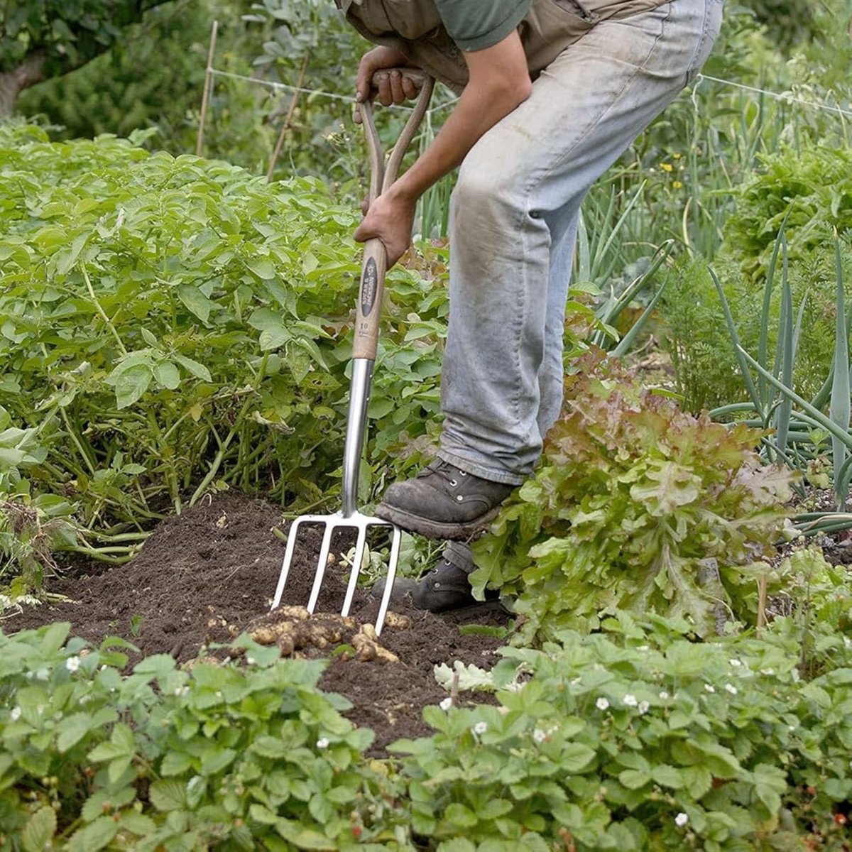 Traditionele graafvork - roestvrij staal - ergonomisch ontwerp