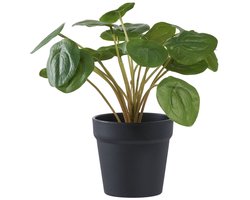 Artificial Plant - Faux Greenery - Fake Plant - Low Maintenance Decor - 28 cm x 28 cm x 28 cm