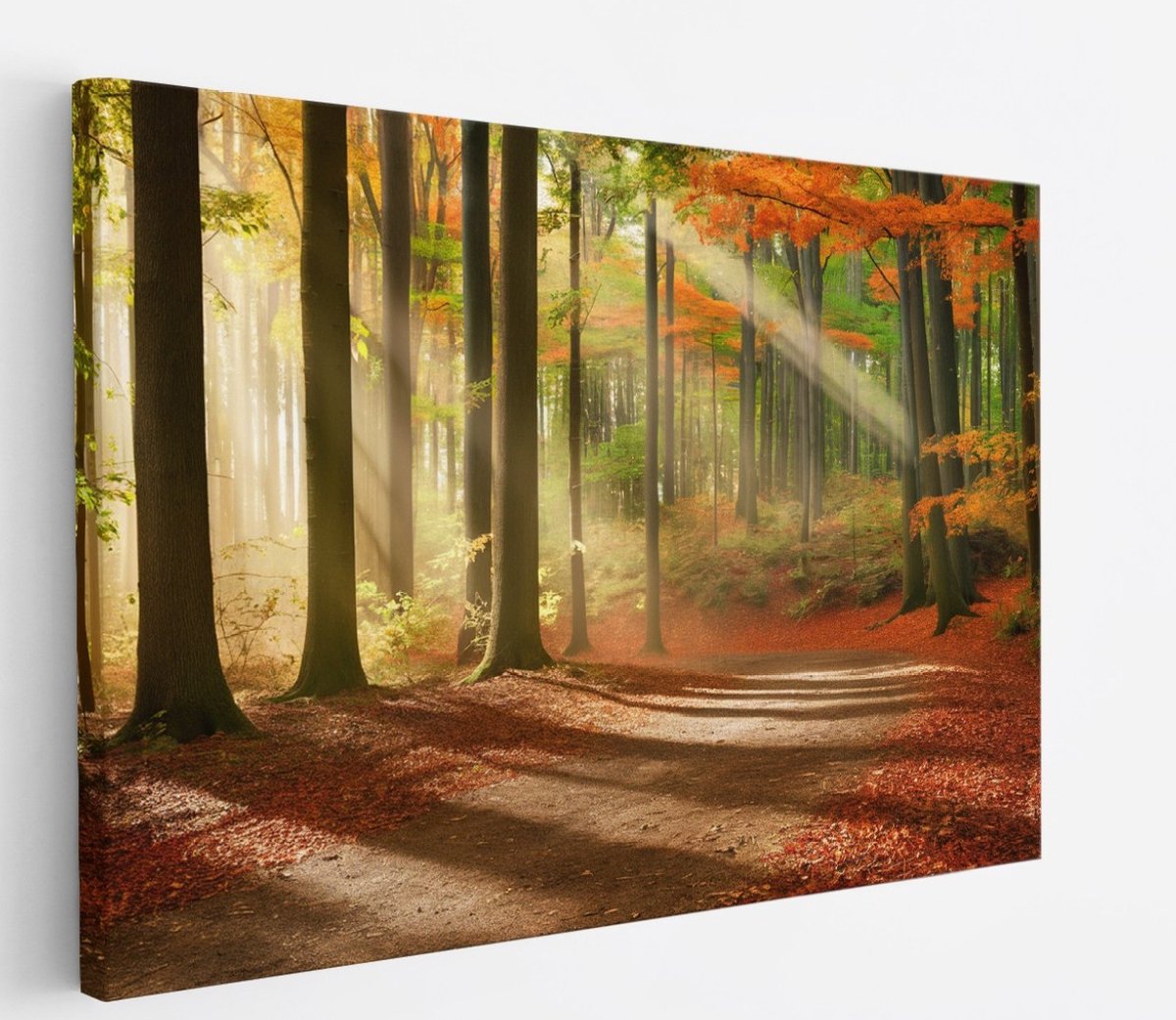 Saammp Canvas Schilderij - Pad door het bos - Herfst - Zon - Landschap - Natuur - 100x75 - Foto op canvas - Wanddecoratie - Muurdecoratie Woonkamer - Slaapkamer decoratie - Canvas Print Multicolor