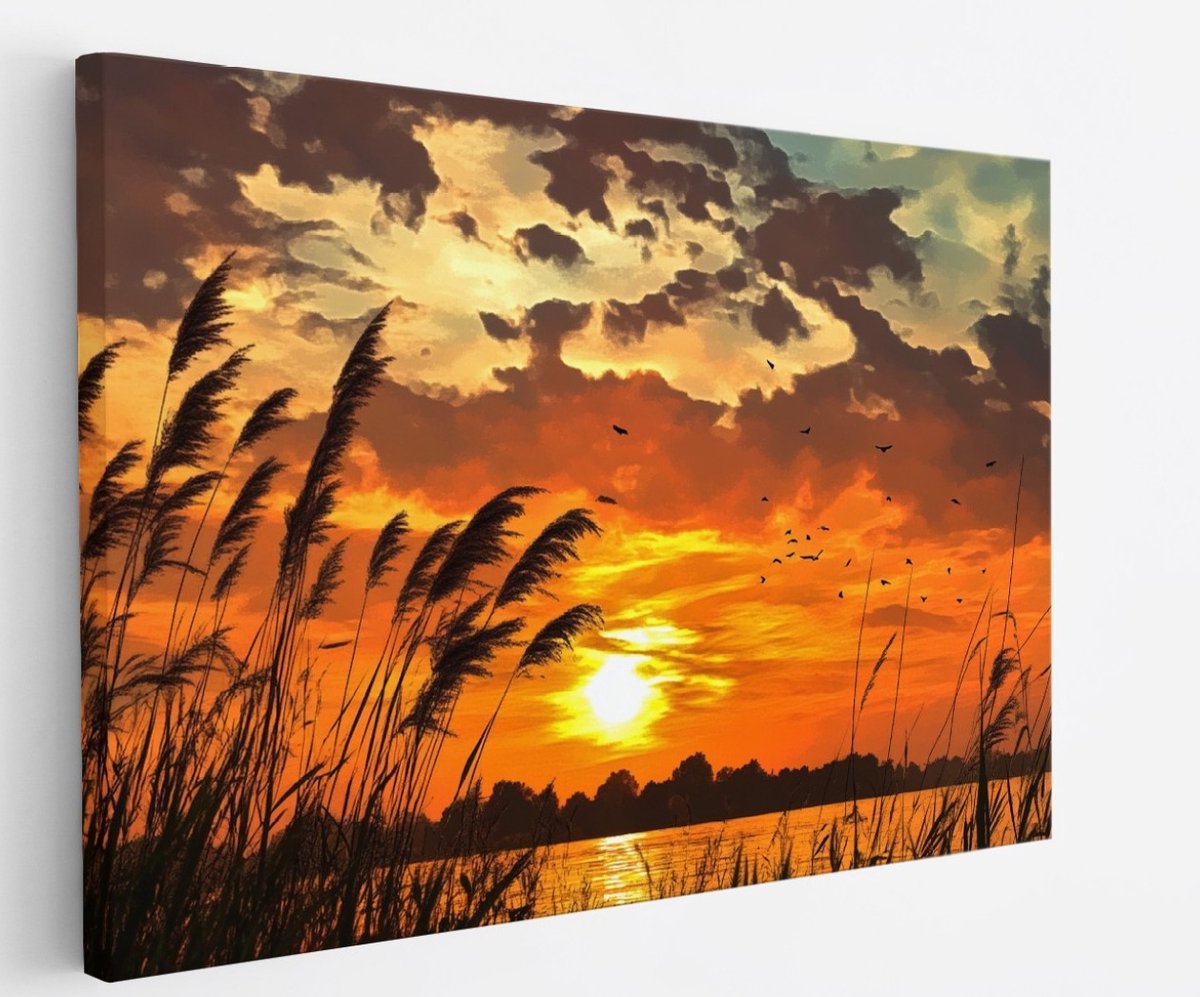 Saammp Canvas Schilderij - Zonsondergang - Planten - Nederland - Natuur - Landschap - 70x50 - Foto op canvas - Wanddecoratie - Muurdecoratie Woonkamer - Slaapkamer decoratie - Canvas Print Multicolor