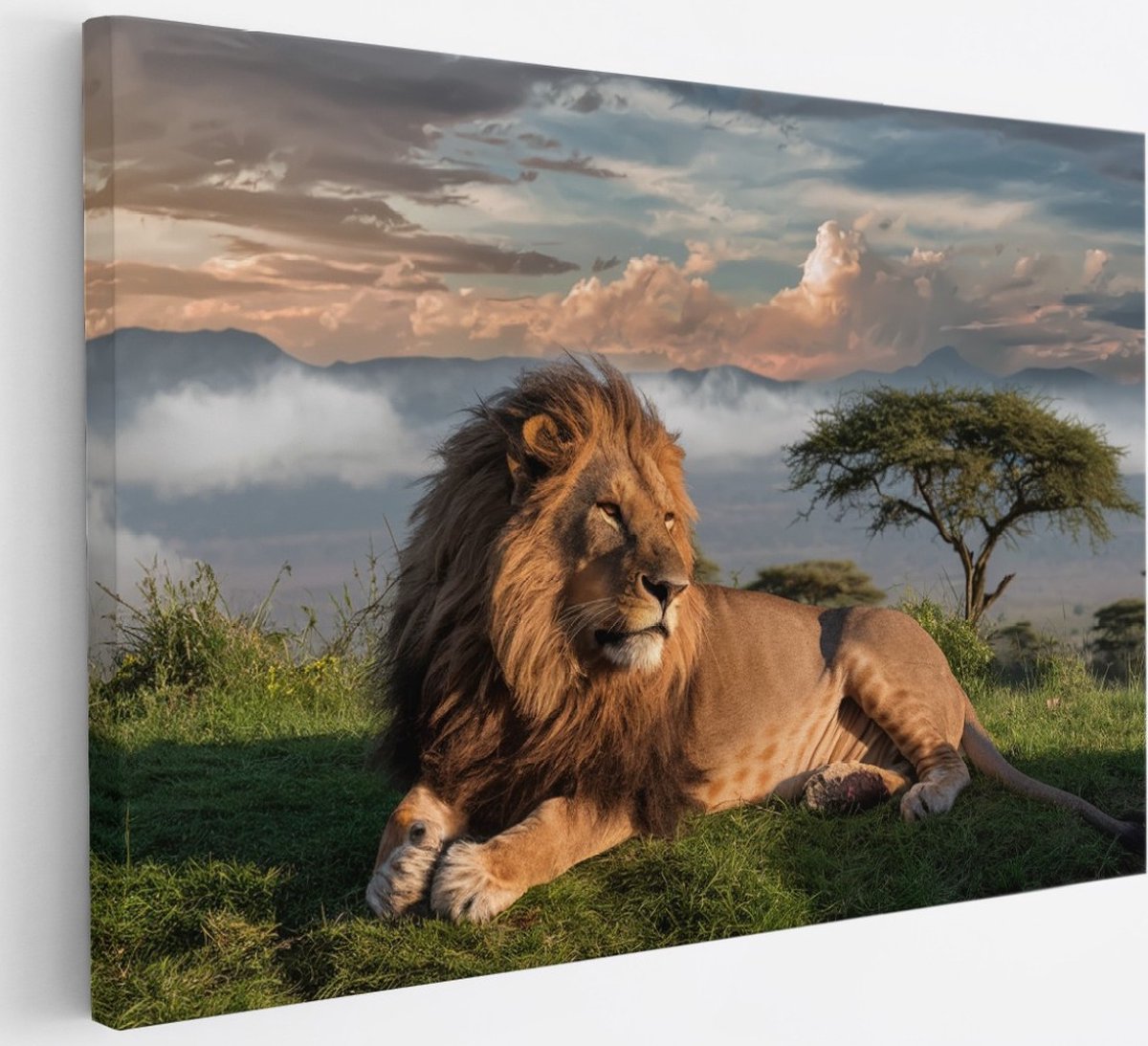 Saammp Canvas Schilderij - Leeuw bovenop een berg - Landschap - Dieren - Natuur - 30x20 - Foto op canvas - Wanddecoratie - Muurdecoratie Woonkamer - Slaapkamer decoratie - Canvas Print Multicolor