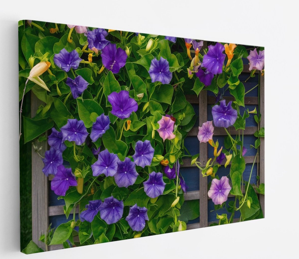 Saammp Canvas Schilderij - Klimop en Bloemen - Natuur - Abstract - 60x40 - Foto op canvas - Wanddecoratie - Muurdecoratie Woonkamer - Kantoor Decoratie Multicolor