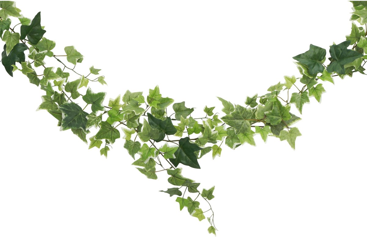 CHAKS kunstplant/hangplant slinger - Klimop/hedera - groen - 180 cm - lang - planten guirlandes