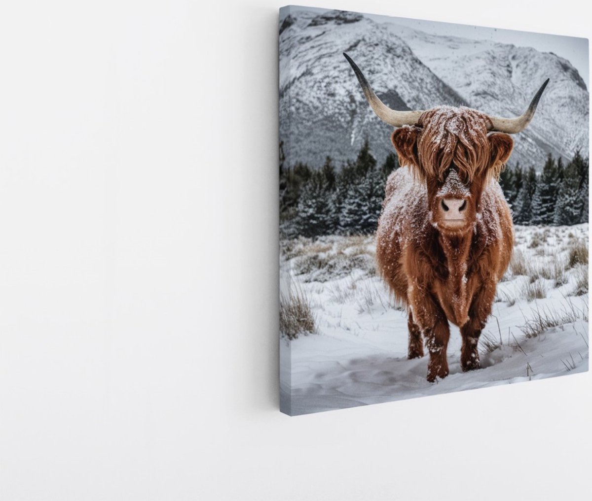 Saammp Canvas Schilderij Schotse Hooglander Koe in de wei - Dieren - Natuur - 40x40 - Foto op canvas - Wanddecoratie - muurdecoratie Woonkamer - Slaapkamer decoratie - Canvas Print Multicolor