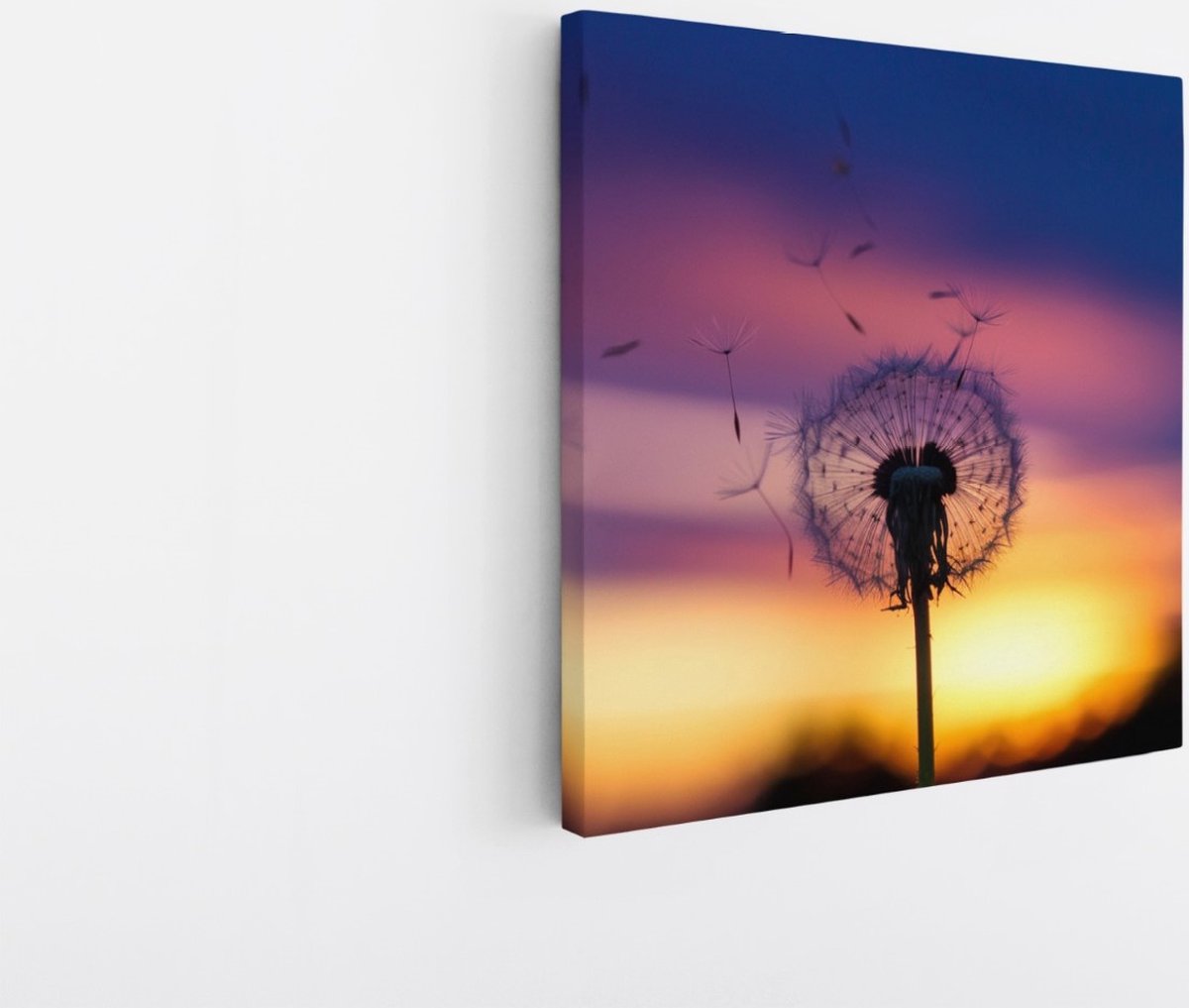 Saammp Canvas Schilderij - Paardenbloem in zonsondergang - Abstract - 30x30 - Foto op canvas - Wanddecoratie - Muurdecoratie Woonkamer - Kantoor Decoratie Multicolor