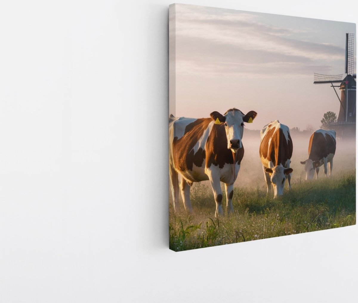 Saammp Canvas Schilderij - Groep koeien in de mist - Natuur - Dieren - 20x20 - Foto op canvas - Wanddecoratie - Muurdecoratie Woonkamer - Slaapkamer decoratie - Canvas Print Multicolor