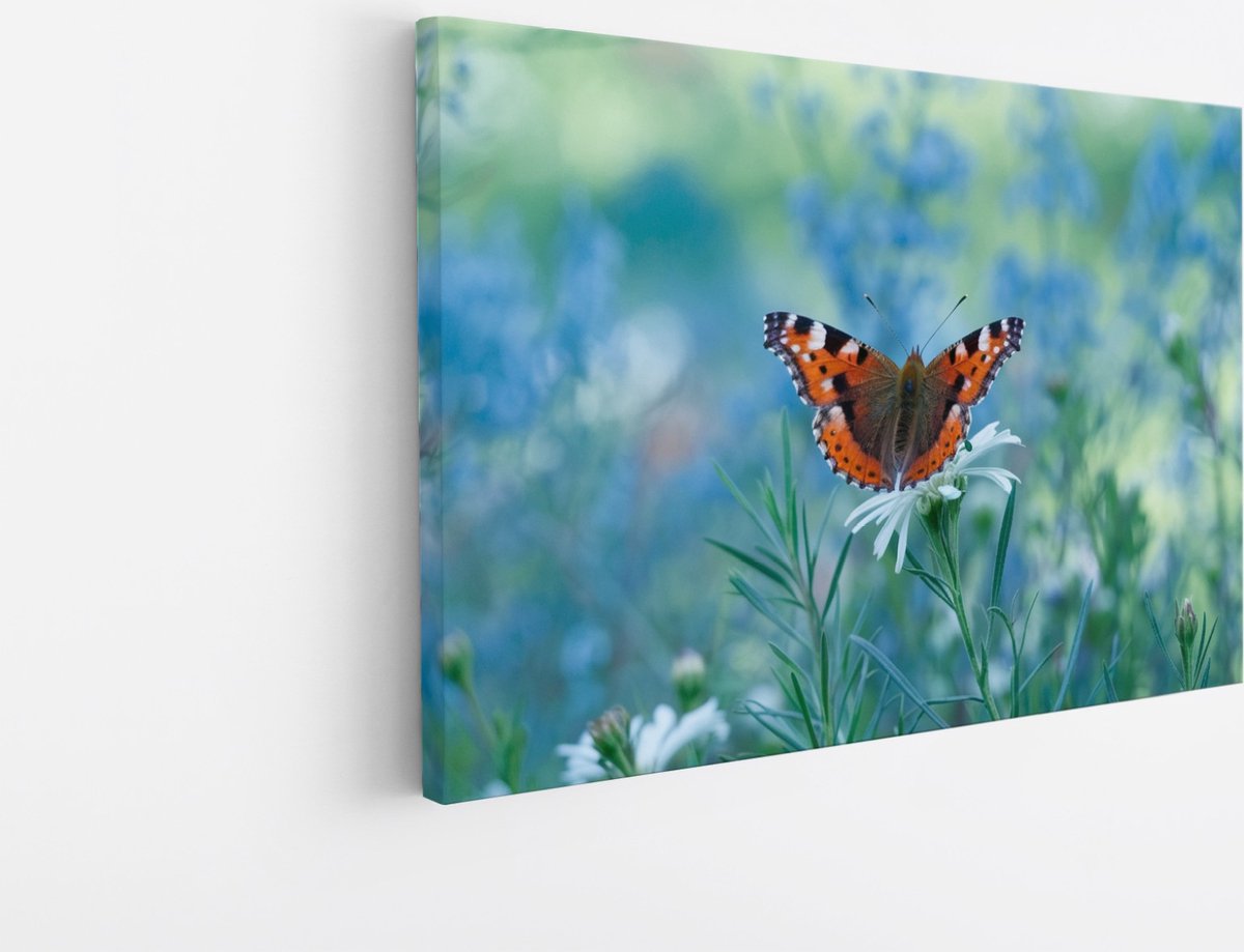 Saammp Canvas Schilderij - Vlinder tussen de bloemen - Blauw - Dieren - Natuur - 40x30 - Foto op canvas - Wanddecoratie - muurdecoratie Woonkamer - Slaapkamer decoratie - Canvas Print Multicolor